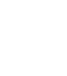 Elite Partner Badge