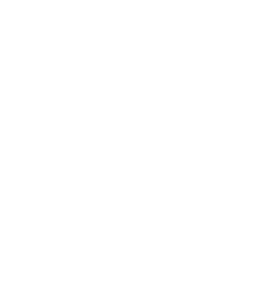 Premiere Partner Badge