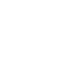 VIP Partner Badge